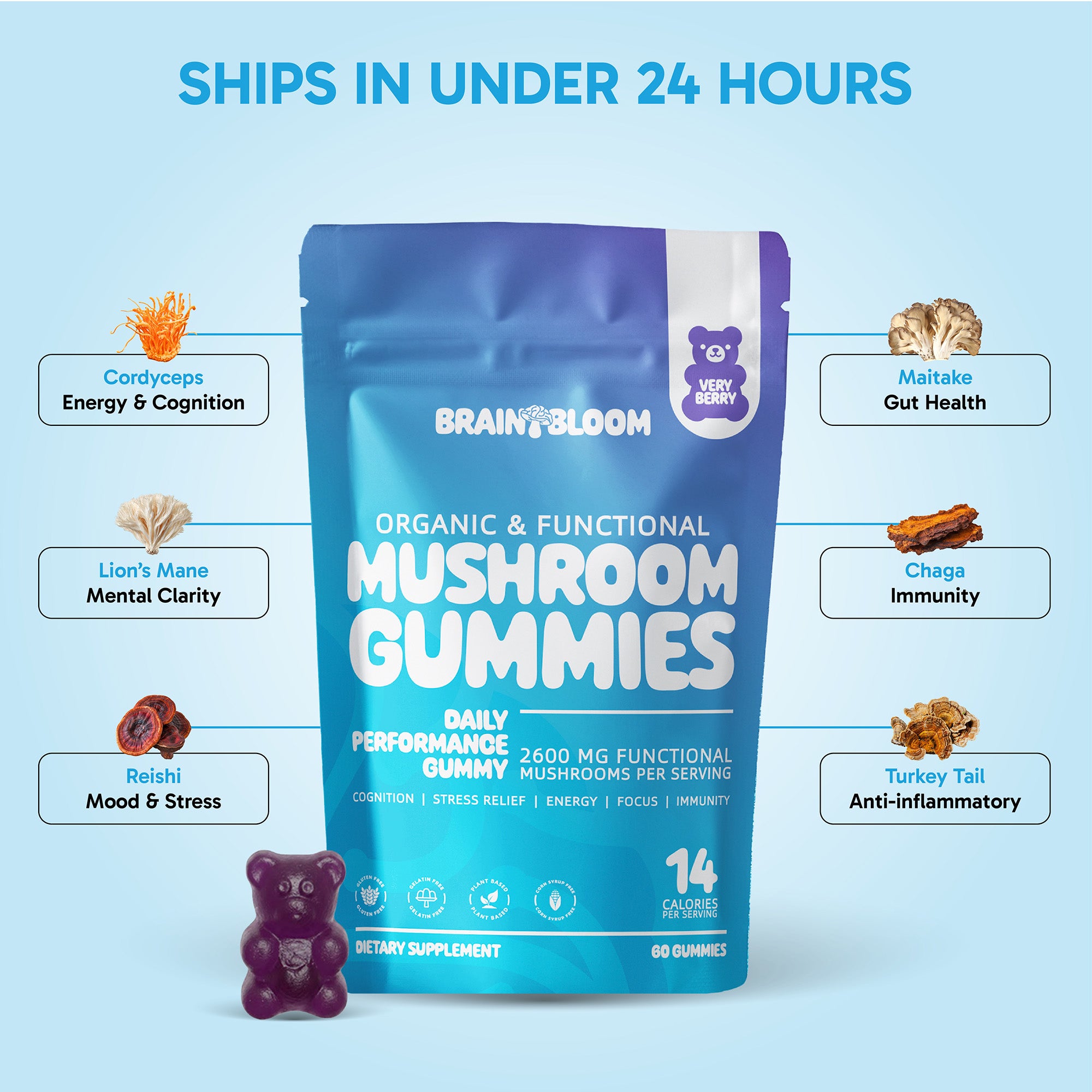 BrainBloom Daily Performance Mushroom Gummies – Very Berry