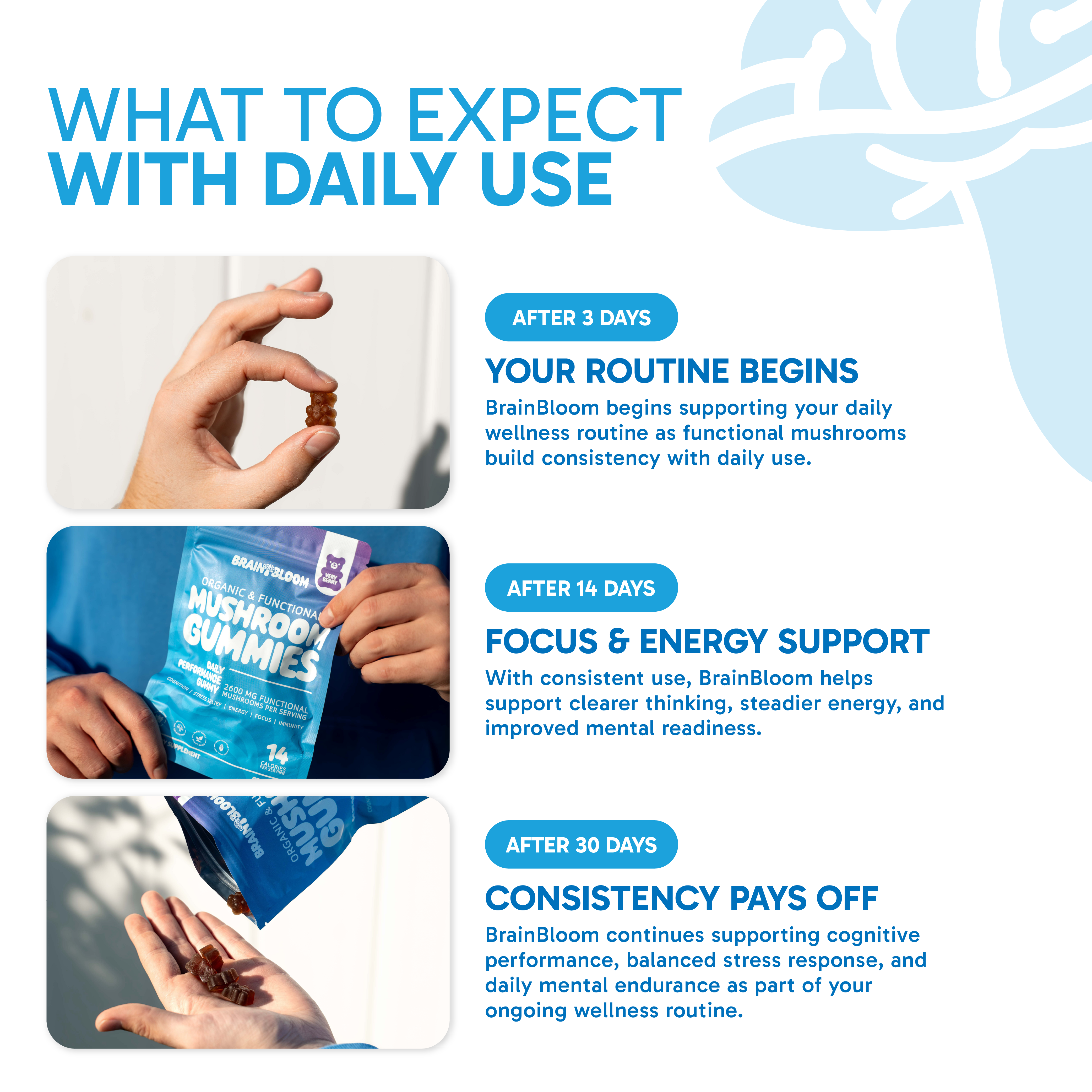 Super Mushroom Daily Gummies