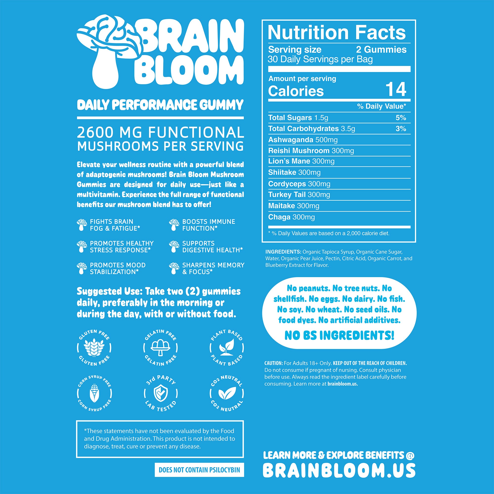 BrainBloom Daily Performance Mushroom Gummies – Very Berry