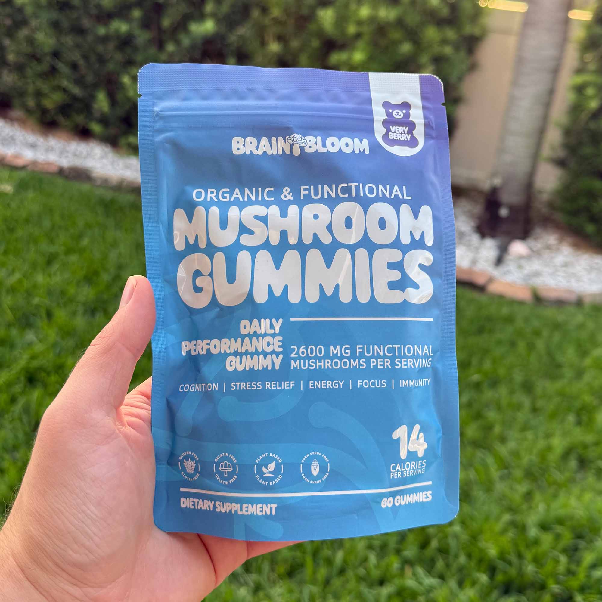 BrainBloom Daily Performance Mushroom Gummies – Very Berry